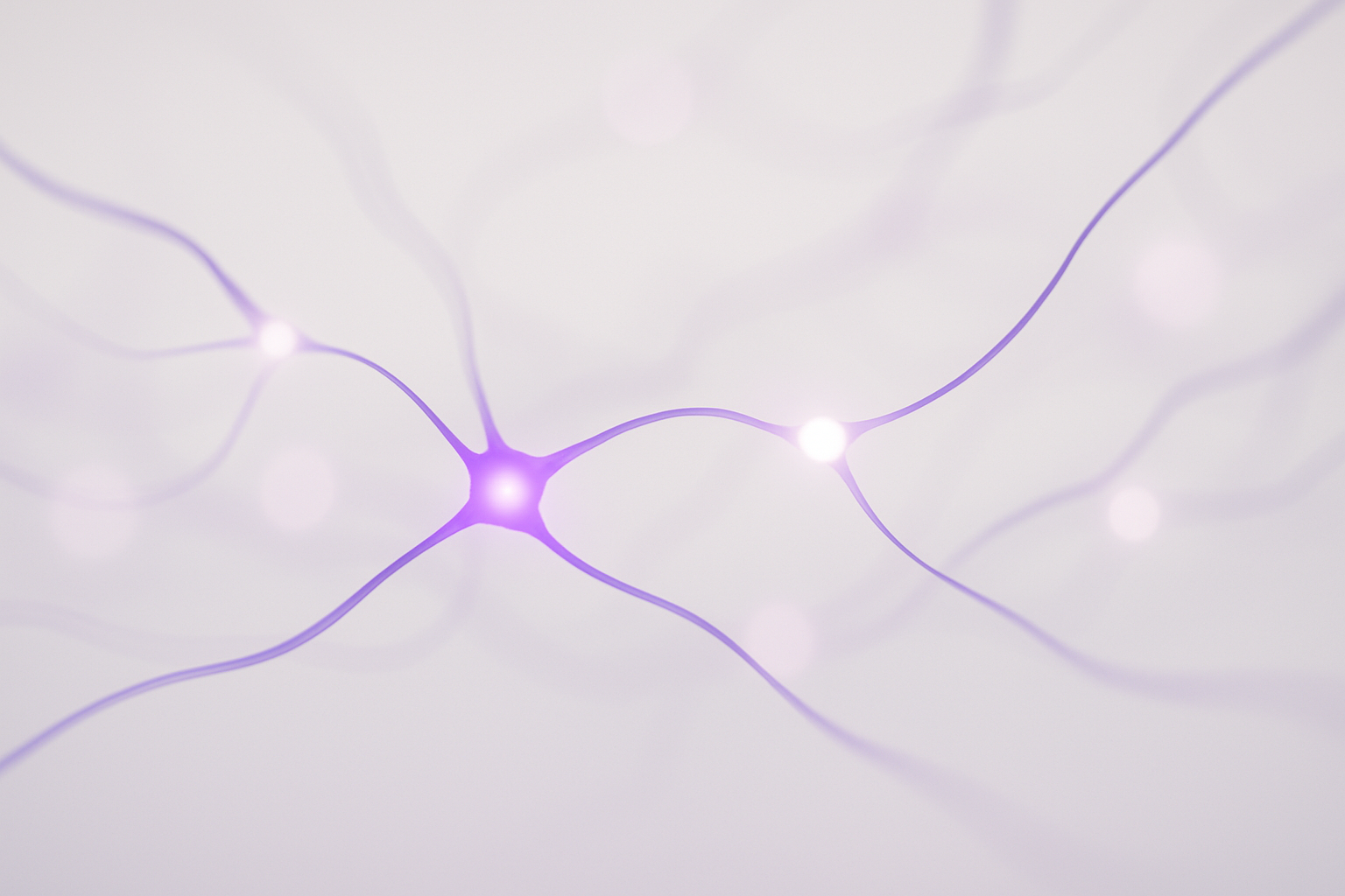 A minimalist hero banner for a science-backed supplement website. Abstract, flowing neural network pathways in a soft, glowing purple (#9118A7) and white on a clean, light grey background. The style is elegant, with a gentle depth of field. No text. Widescreen cinematic ratio